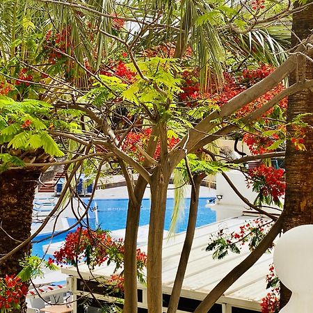 Castle Harbour Melanie'S Apartment By Lovetenerife Los Cristianos  Exterior foto